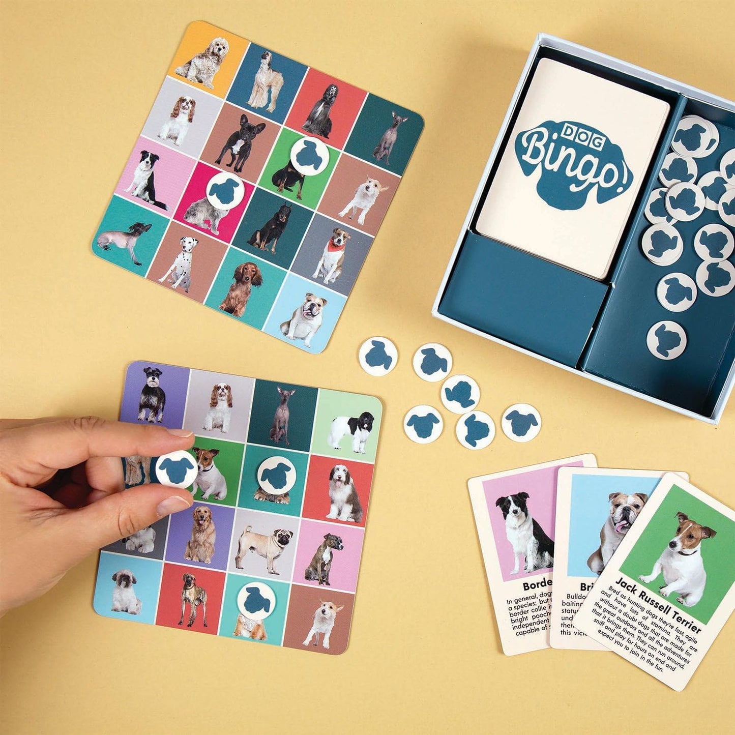Bingo Del Perro (Kikkerland)
