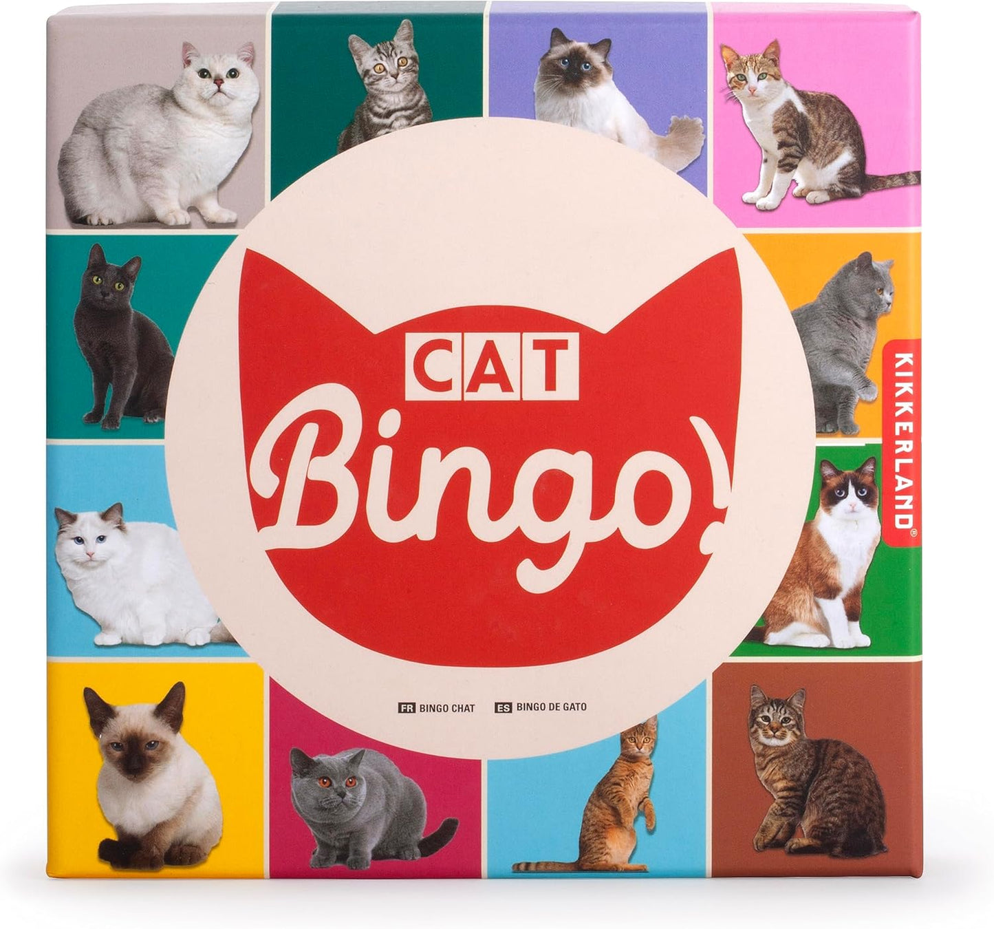 Bingo Del Gato (Kikkerland)
