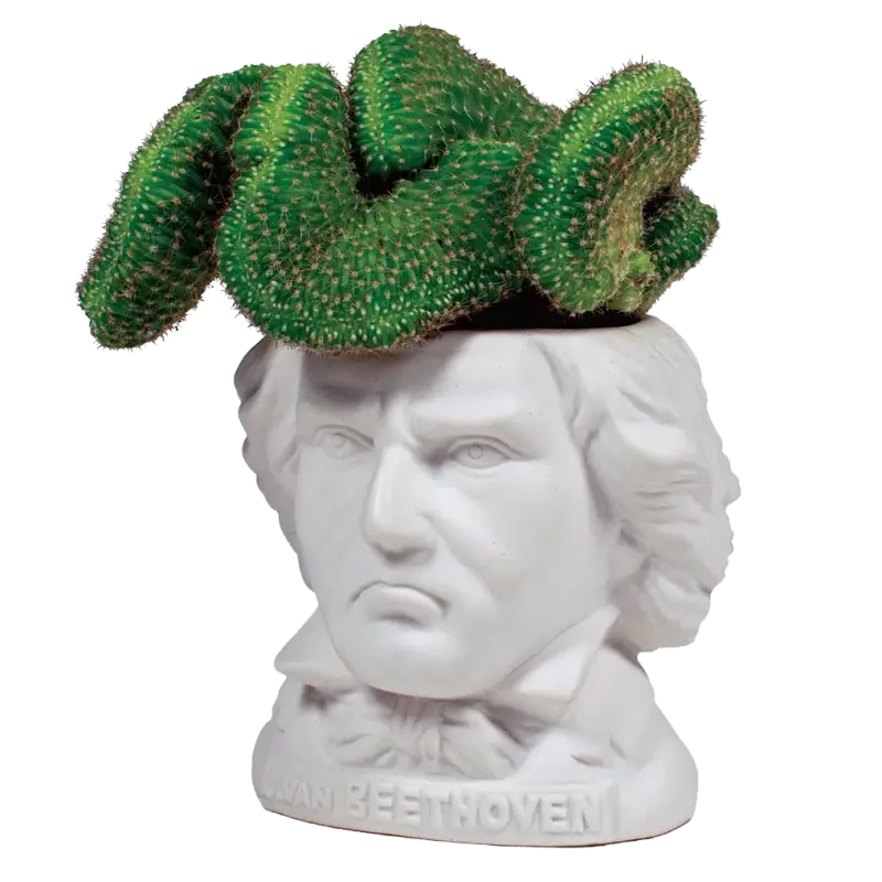 Macetero Ludwig van Beethoven